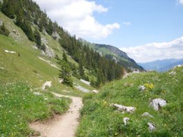 Von Der Rofan Seilbahn Zur Dalfaz Alm