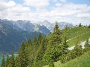 Blick über Wald und Wiesen und auf die Gipfel des Karwendel