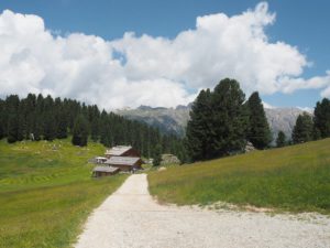 Geisleralm inmitten von Wiesen