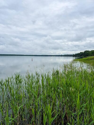 Blick über den Arendsee