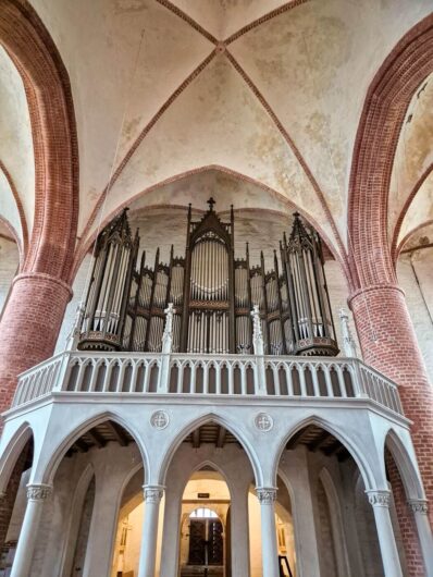 Blick auf die Lütkemüller-Orgel in St. Petri