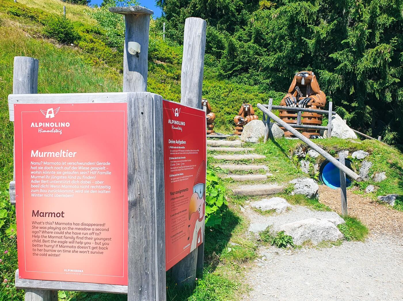 Blick auf die Infotafel und die hölzernen Murmeltiere des Alpinolino Westendorf