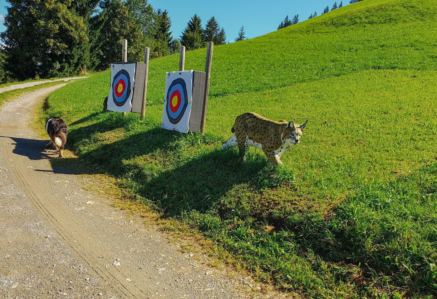 Zielscheiben des Bogenparcours vom Ellmerer's Hof.