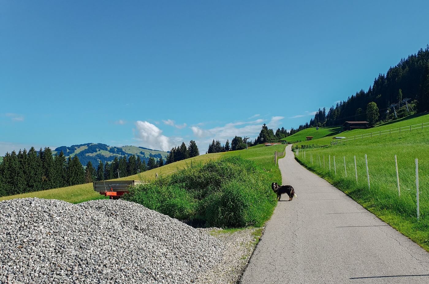 Hund am Weg Richtung Alte Mittel