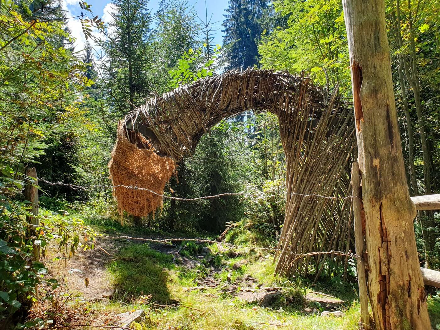 Weidenbogen auf einem Waldweg