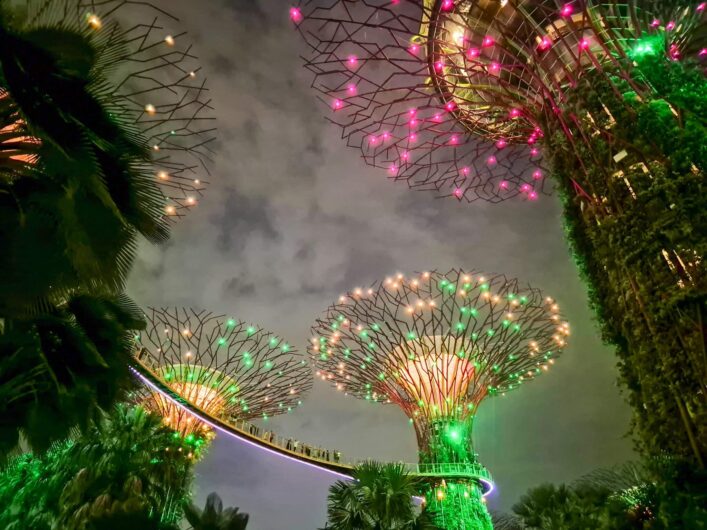 grün-rosa-gelb leuchtende Supertrees bei der Lichtershow