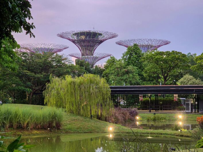 Blick auf die Gardens by the Bay mit den Supertrees