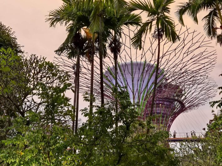 Suptertrees in den Gardens by the Bay in der Dämmerung